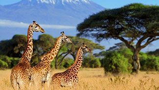 private-tours